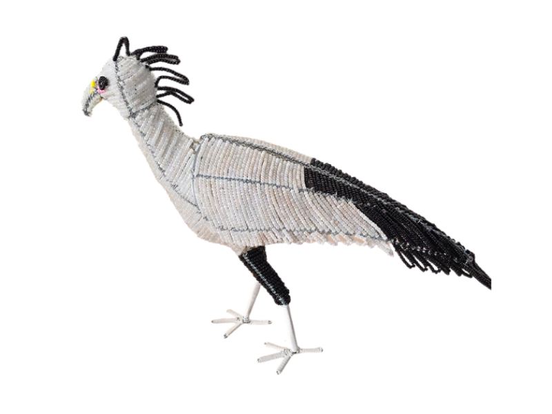 Secretary Bird Side